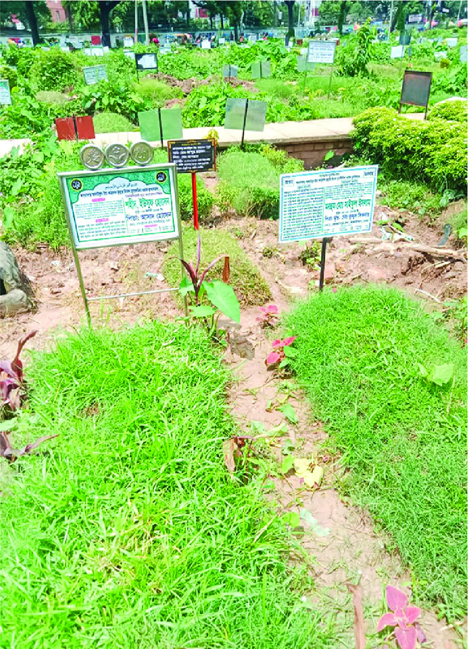 Image of মো: ইউসুফ মিয়া